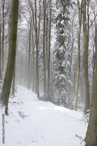 Winter wonderland in Beskidy Mountains photo