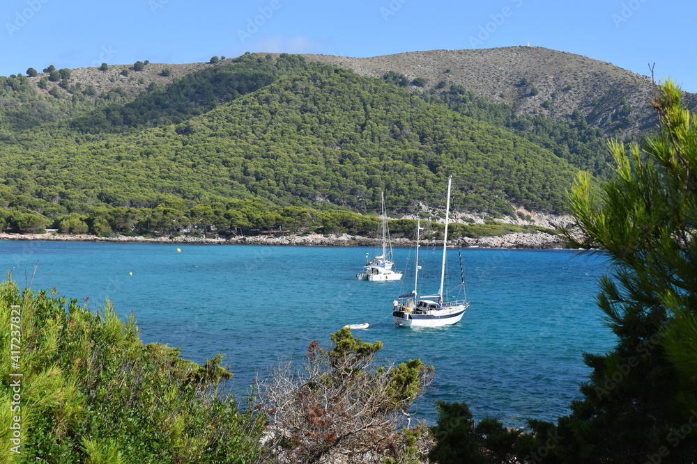 custom made wallpaper toronto digitalboats on the lake