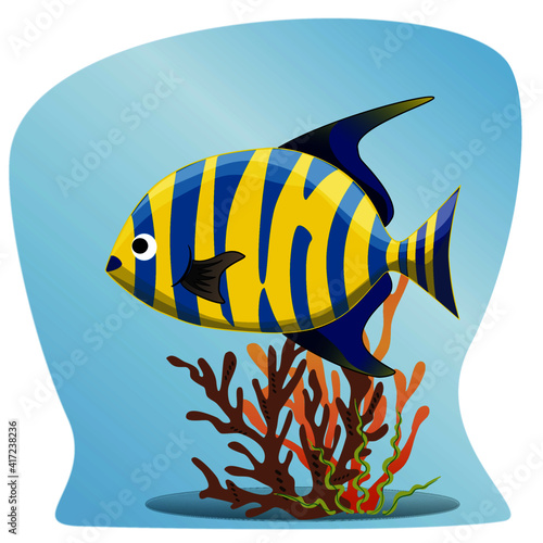 Coral clip art preview