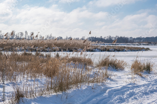 Fototapeta Naklejka Na Ścianę i Meble -  Naturschutzgebiet Zwillbrocker Venn, Winter
