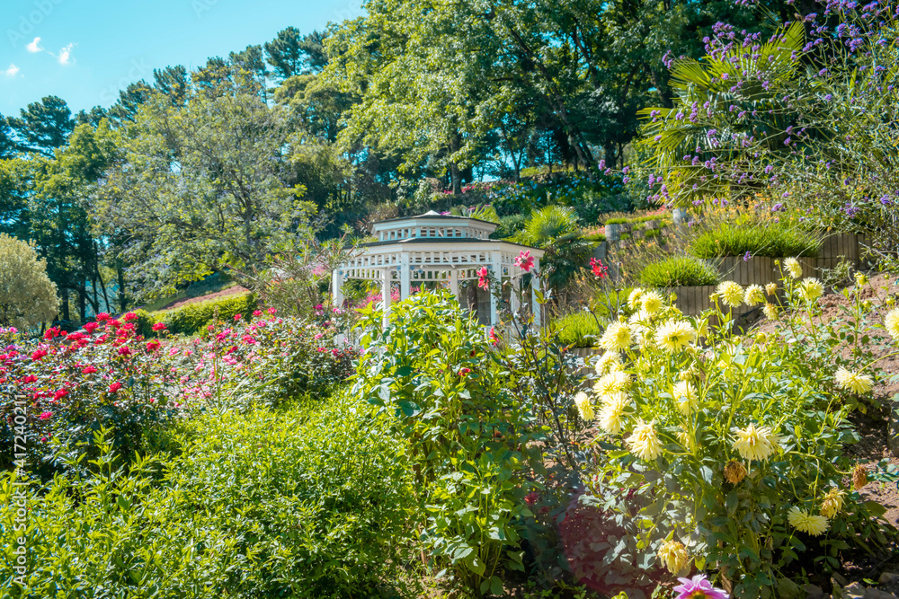Obraz premium garden with flowers