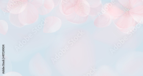 Fototapeta Naklejka Na Ścianę i Meble -  Sakura petal pink background. Vector spring flowers abstract banner, floral blur design, wallpaper texture