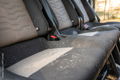 Mold and fungus on a row of car seats that have remained unused for several months photo