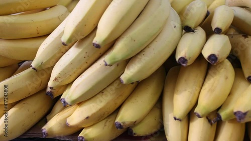 mature dessert bananas in basket on counter in market