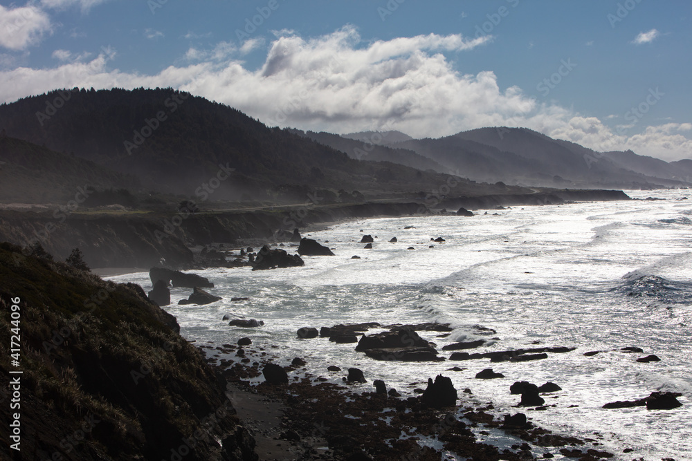 The Pacific Ocean meets the sunny, rugged shoreline of northern California. The scenic Pacific Coast Highway runs along much of the edge of California.