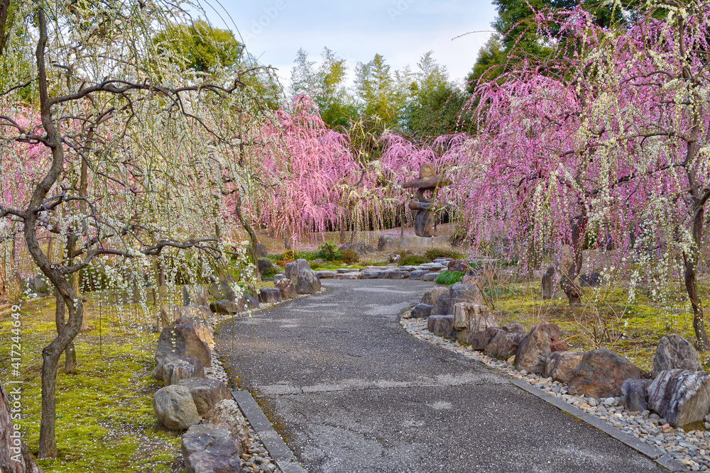 城南宮の花の庭