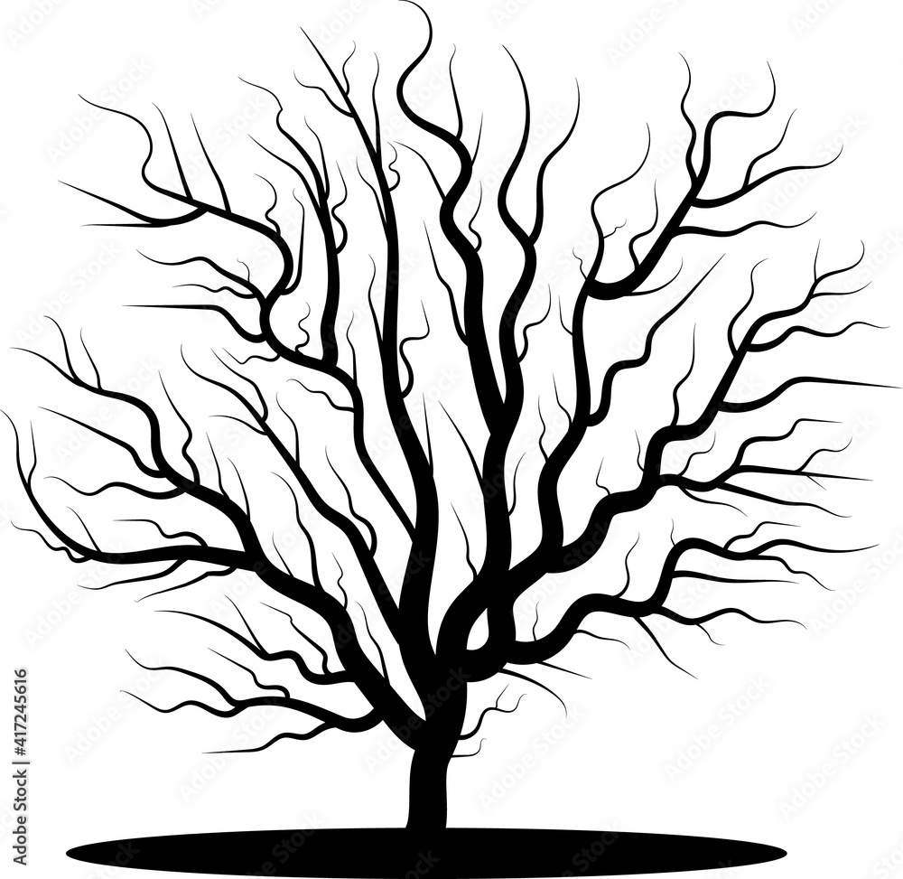Fototapeta premium Dead tree to create night or scary landscapes