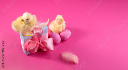 Holiday banner with Bright yellow chickens with easter eggs and gift box on a pink color background. Trendy hard light still life. © Hanna Aibetova