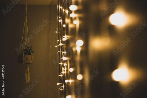 White tinkle lights indoors for decoration with a plant hanging in the dark