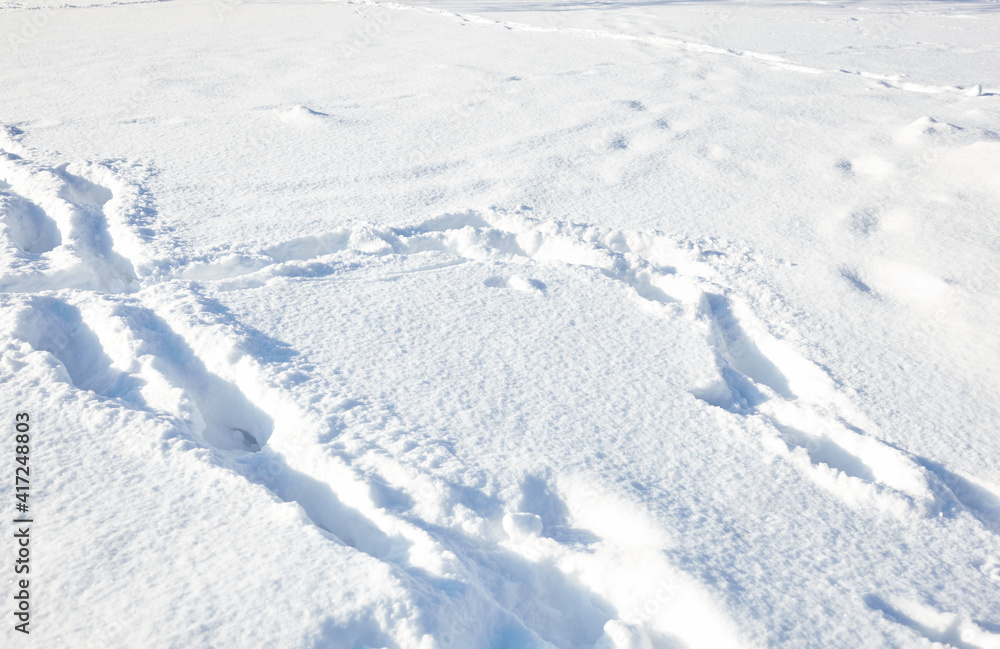 Winter snow in park. Snowy white texture Winter snow in park. Snowy white texture