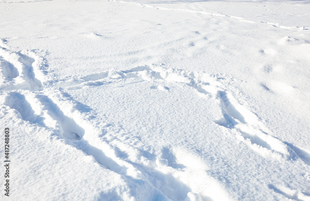 Winter snow in park. Snowy white texture