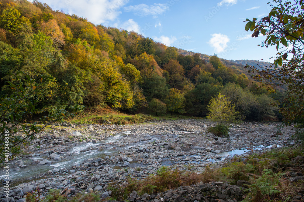 Mountain river on a sunny morning. Beautiful nature in the mountains. Mountain river on a sunny morning. Beautiful nature in the mountains.