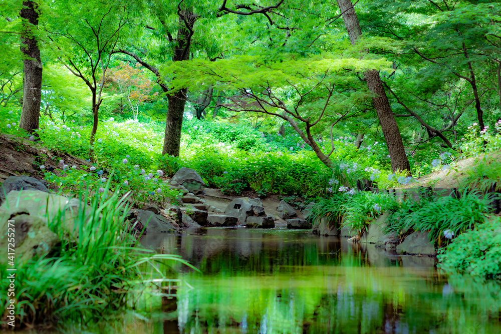 水辺の森 水辺の森
