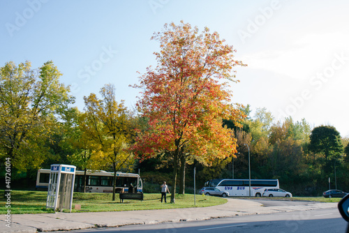 Buses near Mount Royal Park in Montreal, Canada