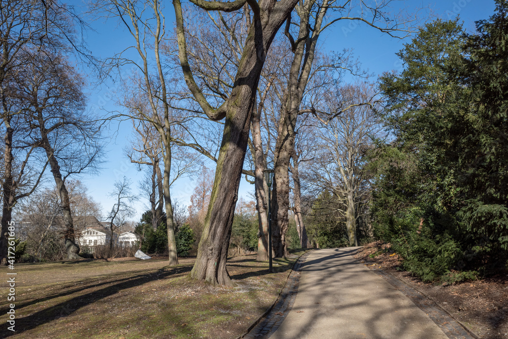 Outdoor tranquil scenery on path at Hofgarten park in Düsseldorf, Germany during winter and spring season. Outdoor tranquil scenery on path at Hofgarten park in Düsseldorf, Germany during winter and spring season.
