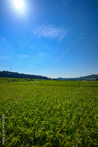 田んぼと青空 © cube197