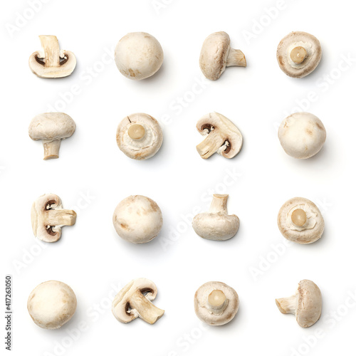Collection of champignons isolated on white background