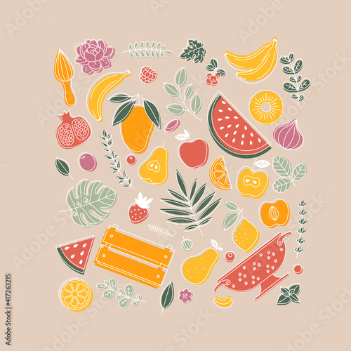 Various fruit collection. Linear graphic. Summer fruits set. Scandinavian style. 