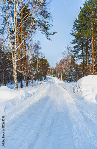 The road through the winter forest in clear sunny weather