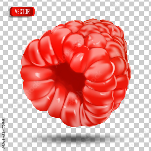 Appetizing fresh raspberries isolated on a transparent background. Realistic vector illustration