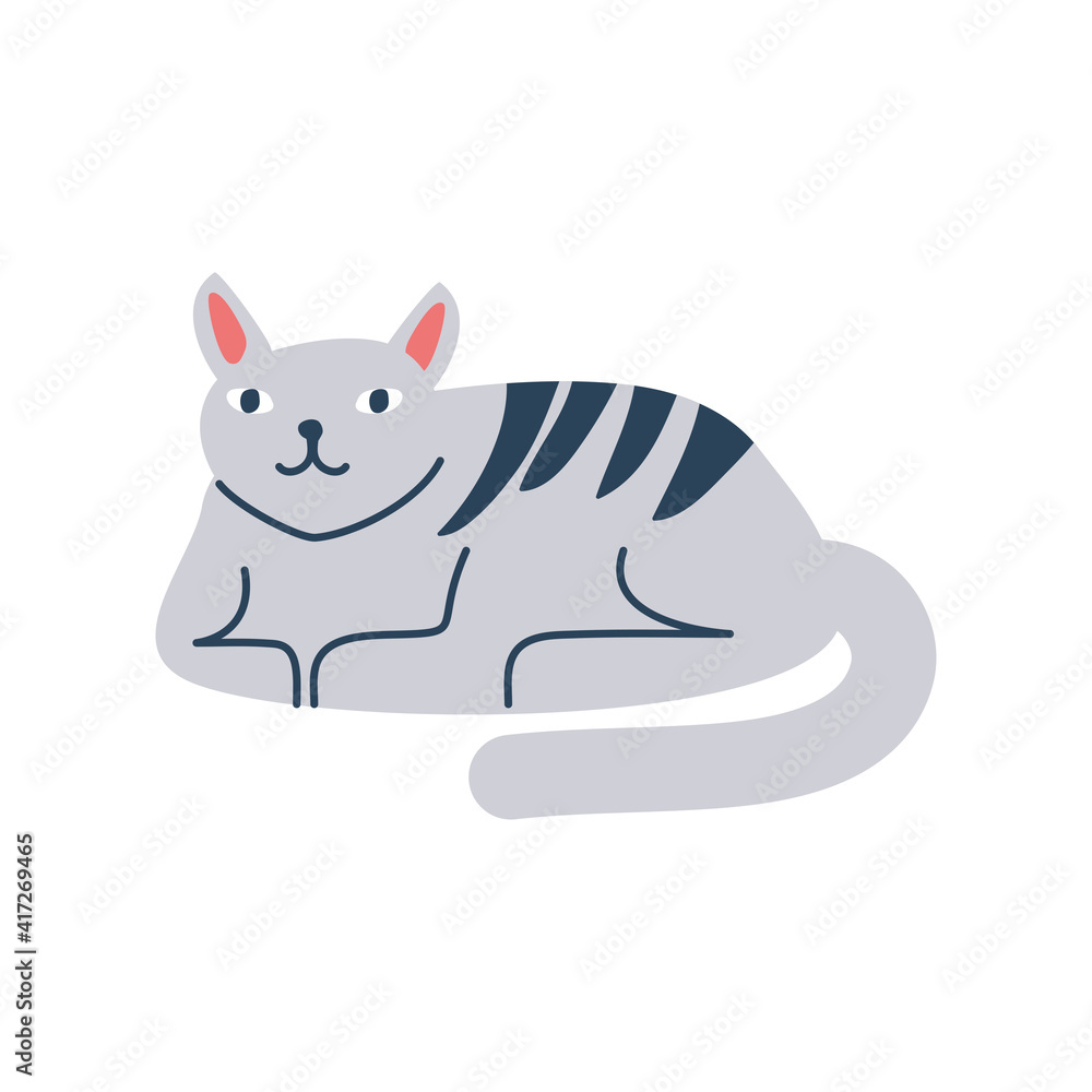 cute cat resting cute cat resting