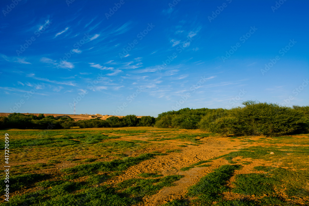 Obraz premium Landscape