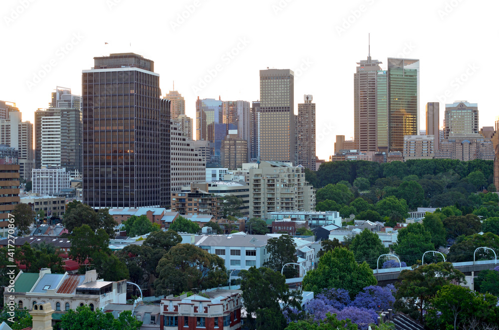 Fototapeta premium sydney business center and skyline