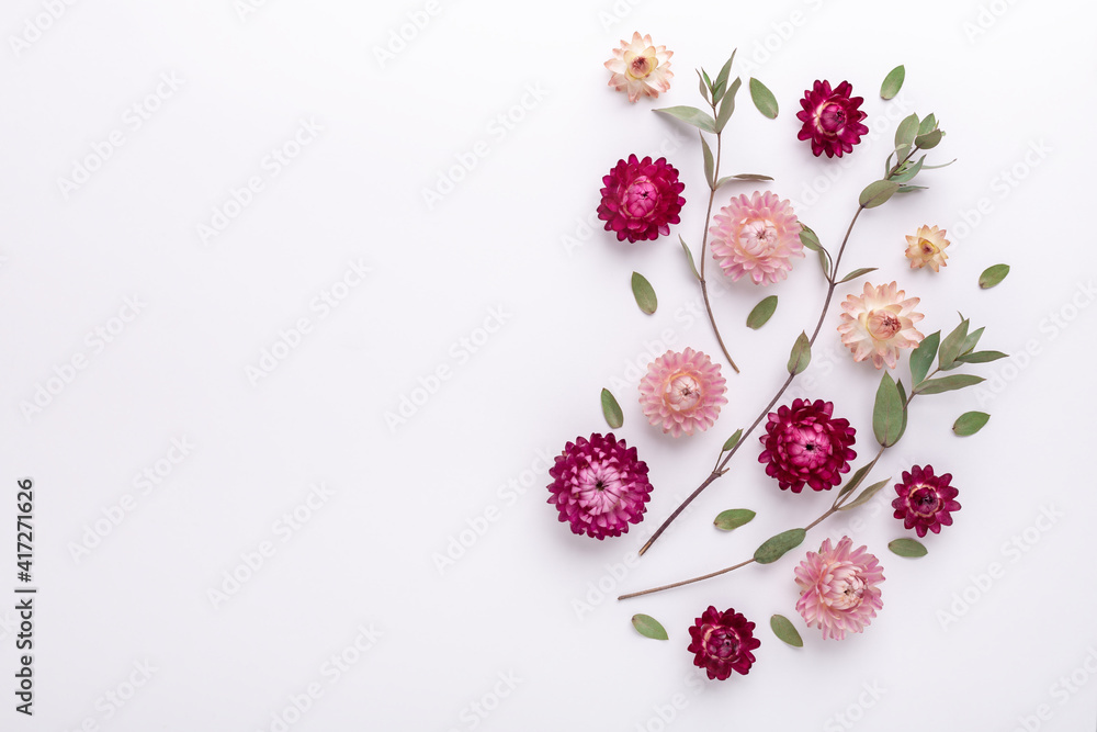 Flower composition. Eucalyptus branches and dry flowers on white background. Flat lay. Top view. Copy space - Image Flower composition. Eucalyptus branches and dry flowers on white background. Flat lay. Top view. Copy space - Image