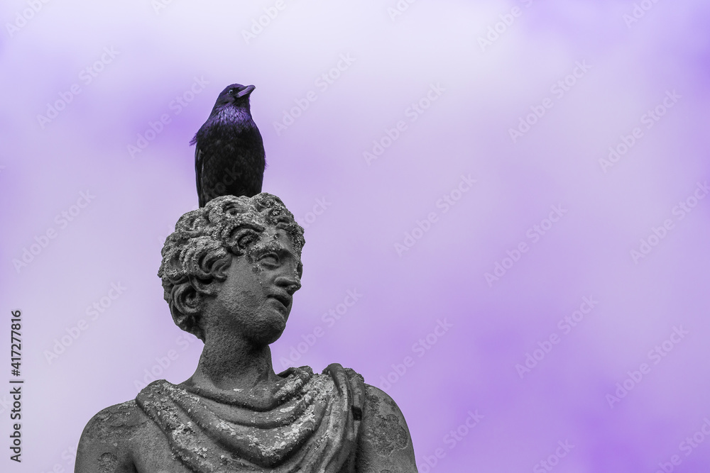 Fototapeta premium Black bird sitting on top of old sculpture. Raven. Purple background.
