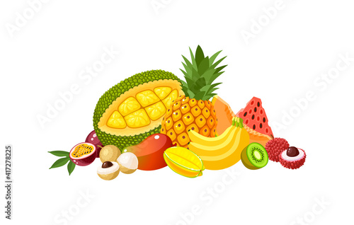 Fototapeta Naklejka Na Ścianę i Meble -  Design composition of tropical fruits: jackfruit, pineapple, banana, watermelon and many other. Vector illustration flat cartoon icon isolated on white background.