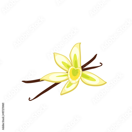 Vanilla flower and dried pods. Vector illustration cartoon flat icon isolated on white background.