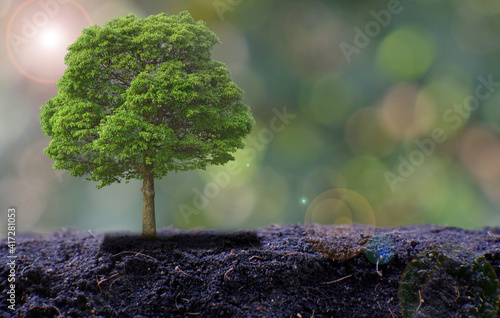 small tree growing on green background. eco earth day concept