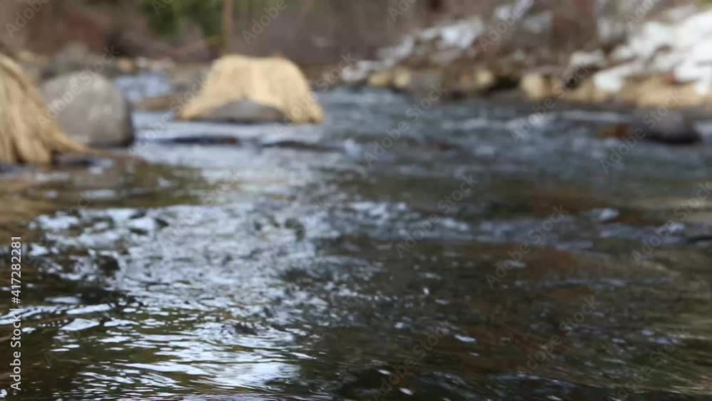 WInter stream running towards camera with short field of focus. Background blurred while water right in front of camera is clear. Rocks and trees in the background. Camera is very close to the water. WInter stream running towards camera with short field of focus. Background blurred while water right in front of camera is clear. Rocks and trees in the background. Camera is very close to the water.