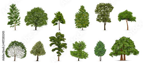 Realistic Trees Icon Set