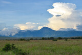 Scenic savannah grassland landscapes against sky in Tsavo National Park, Kenya