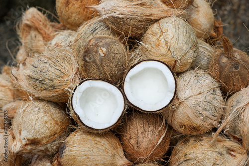 Fotografie Coconut cut in half and whole coconuts in organic farm
