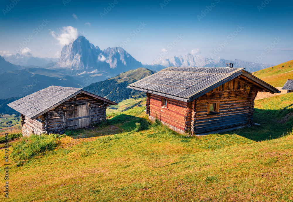 Obraz premium Beautiful summer scenery. Sunny morning view of Sassolungo (Langkofel) range in National Park Dolomites, Italy, Europe. Amazing summer scene of Gardena valley, Dolomiti Alps.