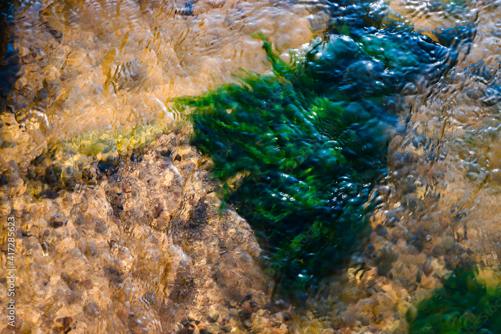 A high angle shot of rocks covered with moss in the river A high angle shot of rocks covered with moss in the river