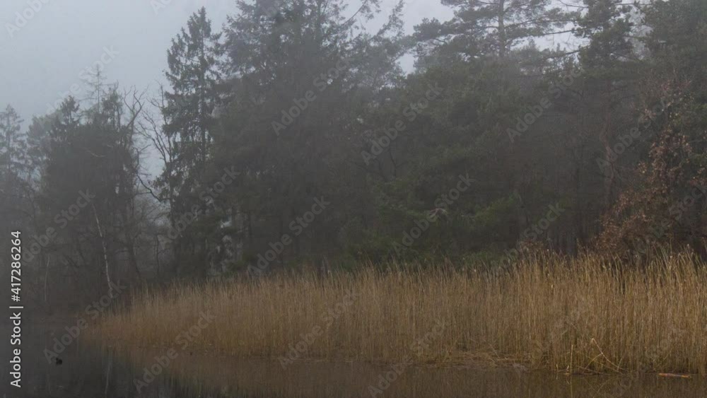 Time lapse of eerie mist moving around reed at river bank - hd crop Time lapse of eerie mist moving around reed at river bank - hd crop