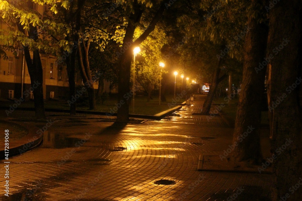 alley in the park night