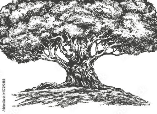 family tree hand drawn vector illustration realistic sketch