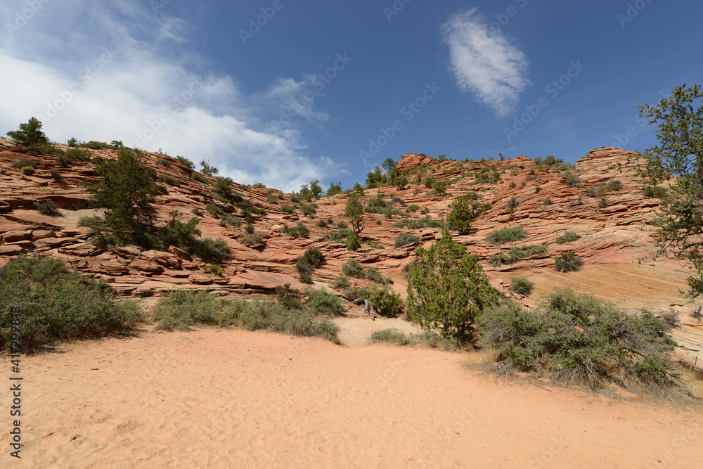 Scenic view of the rocky terrain at Zion National Park Scenic view of the rocky terrain at Zion National Park