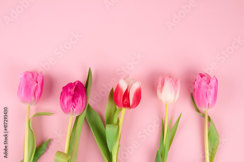 Beautiful colorful tulips on light pink background with copy space for text. Design for greeting card - Mother's Day, Women Day, 8 March or Valentines Day concept. Selective focus © Iryna Mylinska