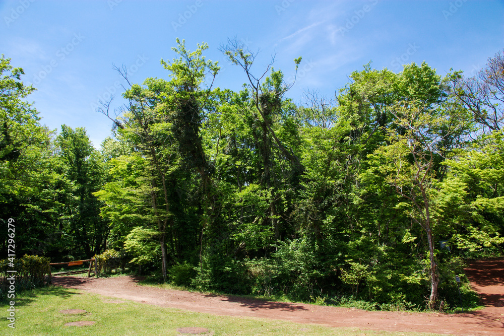 Beauty of Jeju Island: Seascape, Landscape