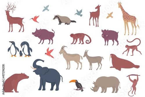 Wildlife Animals Icon Set