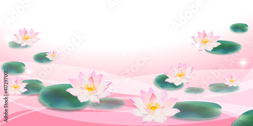 睡蓮　蓮