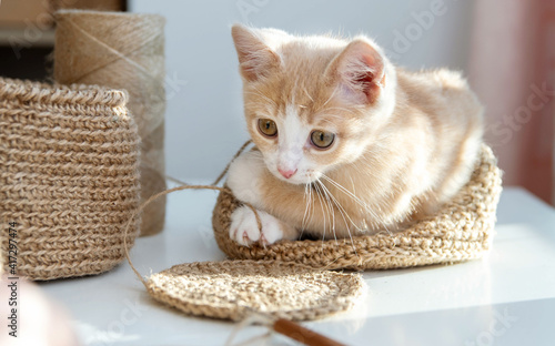 A small red kitten lies in a knitted jute basket and plays with yarn. Crochet from a jute for the house. © nadezhda