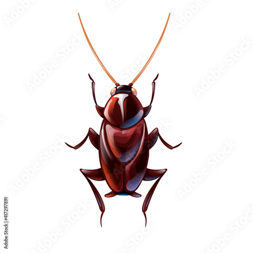 Oriental cockroach, macro of insects. Pest control