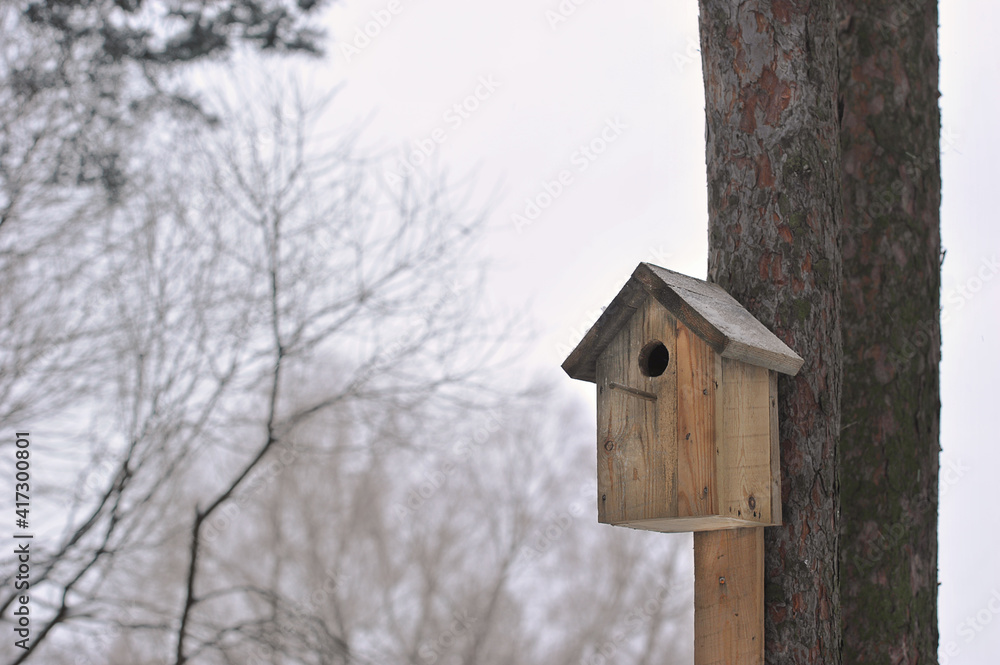 birdhouse on a tree in winter time birdhouse on a tree in winter time