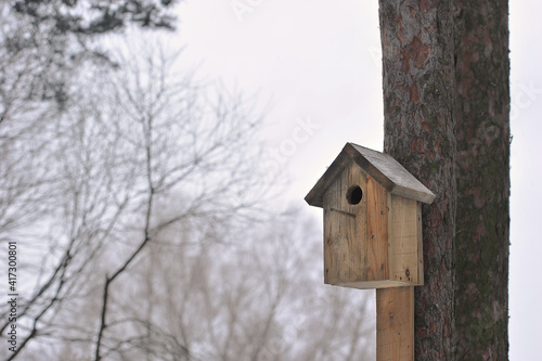 birdhouse on a tree in winter time